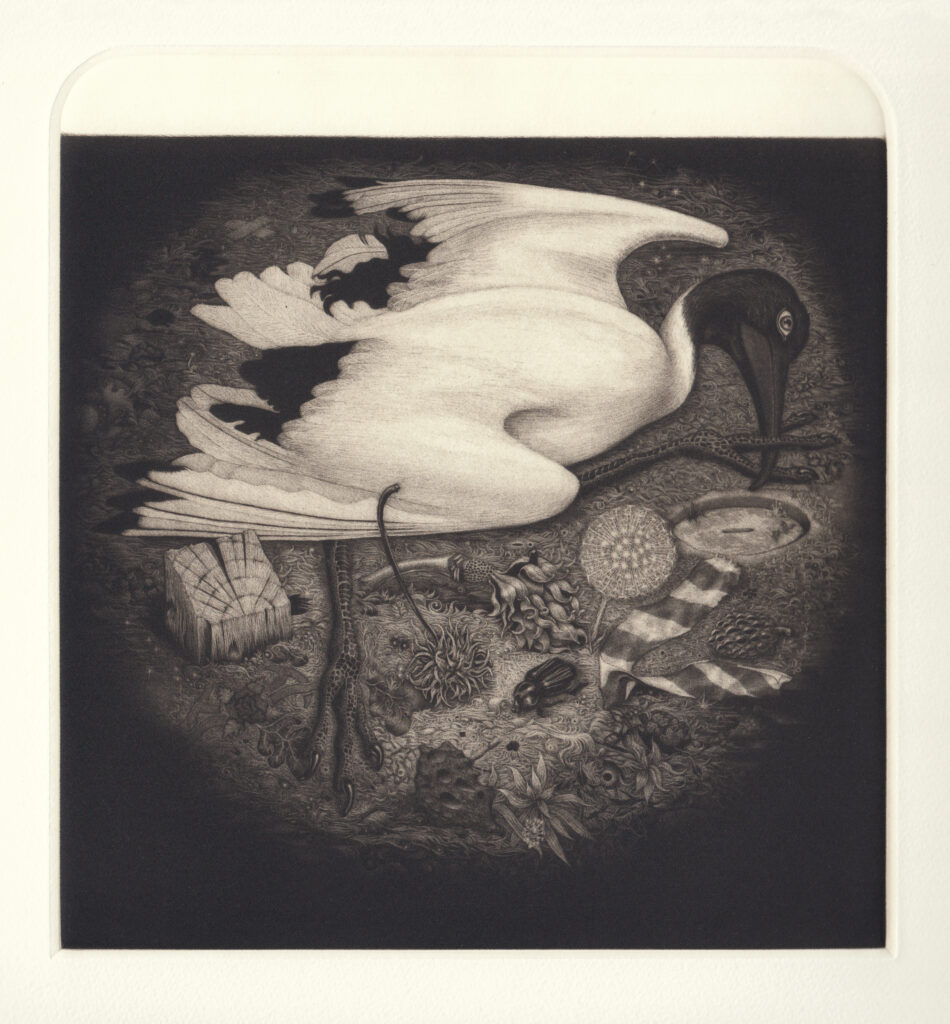 Greg Harrison 
Death and Destruction or Coburg Lake Reserve 
Mezzotint 
Edition of 30 
Image size: 26 x 24cm 
Paper size: 41 x 34cm 
 
While walking my dog, she shows me the dead animals in the park, which are usually overlooked because of the park’s conventional beauty. This print focuses on unnoticed death and also celebrates the craft of printmaking, demonstrating how the process itself can be as beautiful as the underlying concept. 
 
Current financial PCA Members can purchase prints at the discounted rate of $290 per print, or $530 for 2 prints.
To claim the discount for 2 prints, at the checkout enter the Coupon Code: MEMBER2024