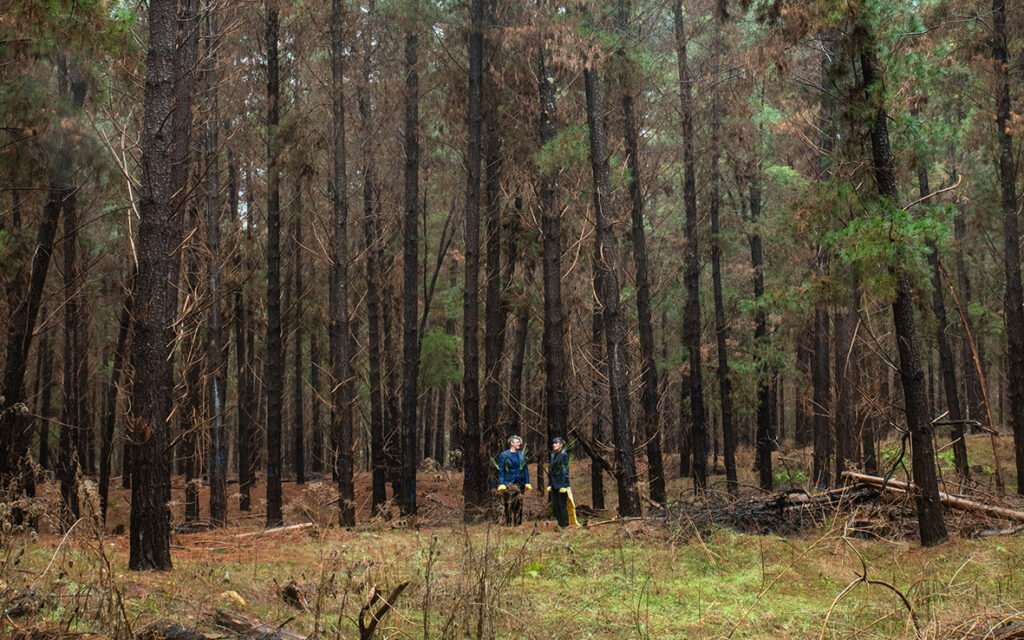 Clare McCracken and Heather Hesterman explore the complex histories of the Ovens River and Mount Buffalo.